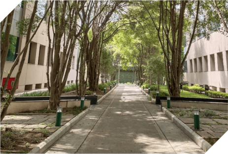 Infosys Buildings 28 / 29